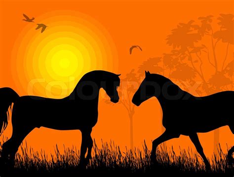 Two horses at sunset | Stock vector | Colourbox