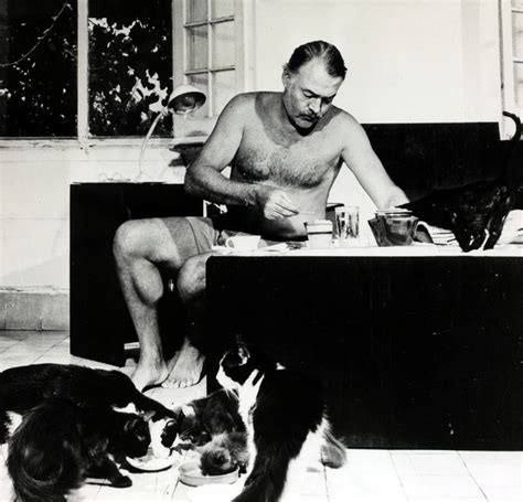 Ernest Hemingway and His Cats - Old Pictures