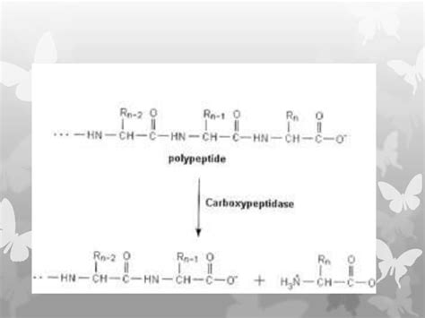 Protein and nucleic acid sequencing | PPT