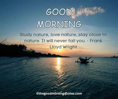 54+ Beautiful Good Morning Nature Quotes - Good Morning Quotes