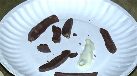 Taste Test: Chocolate Covered Worms | wnep.com