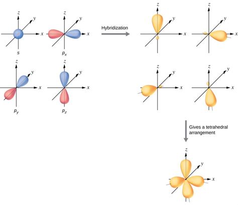 In sp3 hybridization how many atomic orbitals are involved?