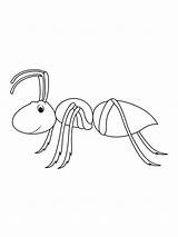 Four Ants coloring Page sketch template