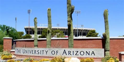 Global Wildcat Freshman Tuition Award At University Of Arizona USA