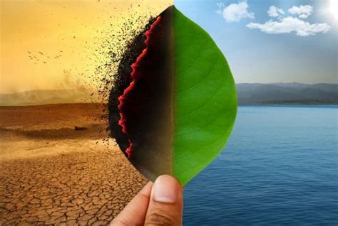 50 Mind-blowing Facts About Climate Change - Conserve Energy Future