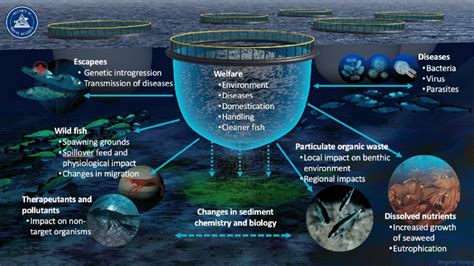 1 Illustration of environmental impacts of salmon farming in Norway ...