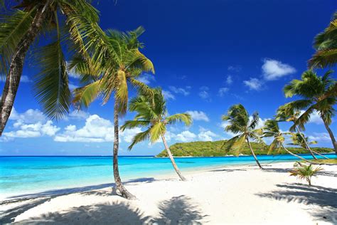 The Tobago Cays in the Grenadines Are Caribbean Perfection - Blue Water Sailing