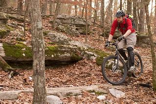 Syllamo mountain bike trail, Arkansas. | Jonas on White Rive… | Flickr