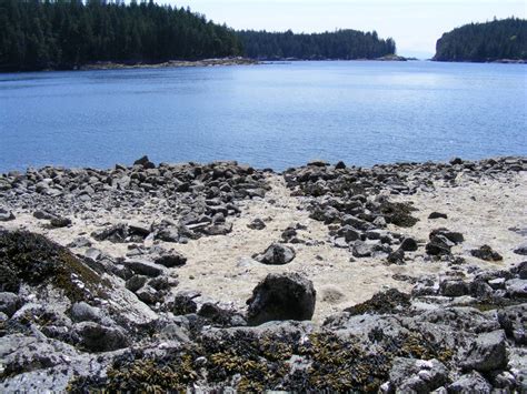 Judith Williams - "Clam Gardens: Aboriginal Mariculture on Canada’s West Coast"