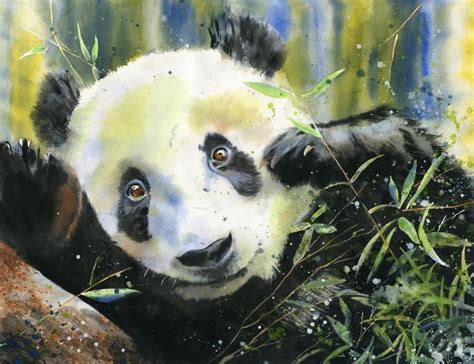 Rachel's Studio Blog: New Panda Watercolor Painting