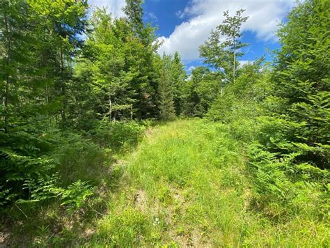 35 Acres in Ford River Township! | Upper Peninsula Homes