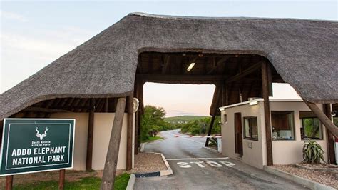 SANParks Addo Rest Camp | Rates