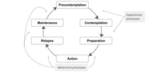 Diagram of the Stages of Change in the Transtheoretical Model, with ...