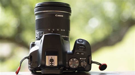 Canon EOS R50 vs EOS 250D / Rebel SL3 - Camera Jabber