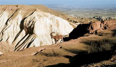 Exploring Hingol National Park: A Nature's Majesty in Pakistan