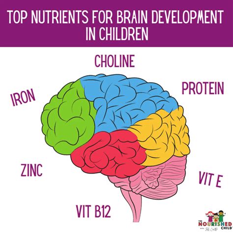 Toddler Snacks: 9 Ideas for Brain Development | The Nourished Child