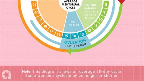 Know when you’re fertile with this easy chart