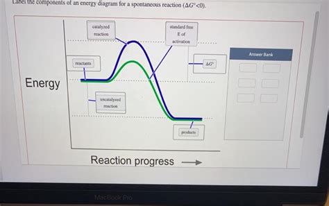 Solved Label the components of an energy diagram for a | Chegg.com