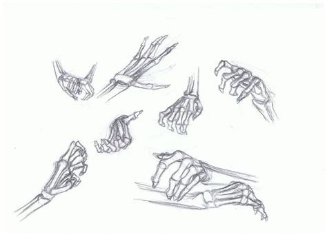 Skeleton Hands by TheBlack-Kat on DeviantArt | Skeleton hands drawing, How to draw hands ...