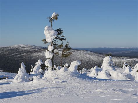 Greetings from Levi, Lapland - S/Y Dolphin Dance