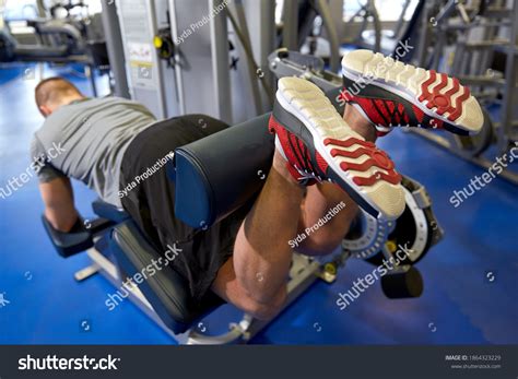 311 Leg Curl Machine Images, Stock Photos & Vectors | Shutterstock