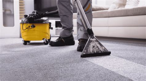 2022 Carpet Cleaning Prices | Cost Guide