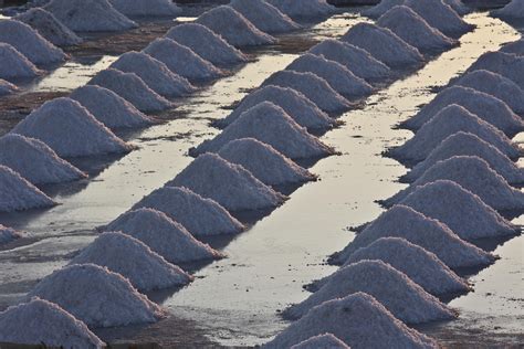 The Marsala Salt Pans - Visit Sicily