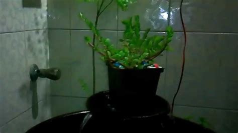 Homemade Indoor Waterfall - YouTube