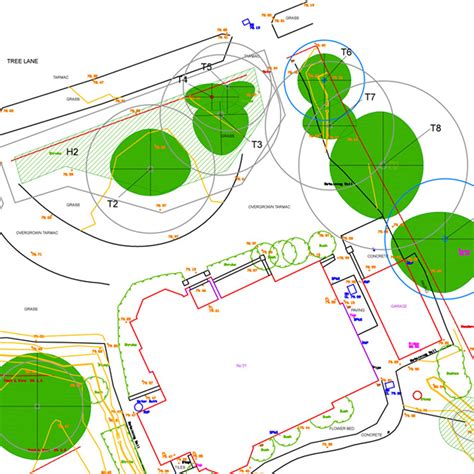 Tree Constraint Plans | Arboricultural Constraints Report | BS5837