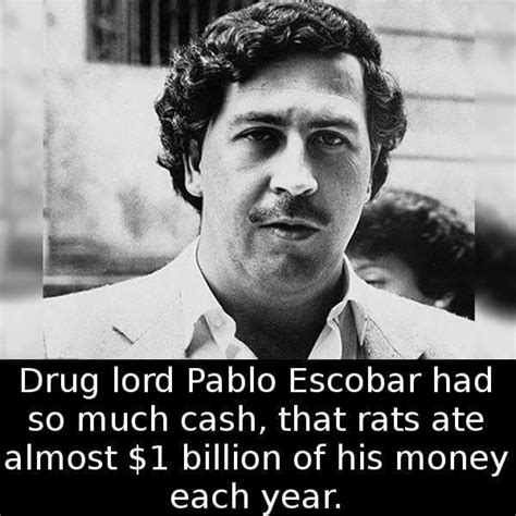 REALLY?! | Escobar quotes, Pablo escobar quotes, Pablo escobar