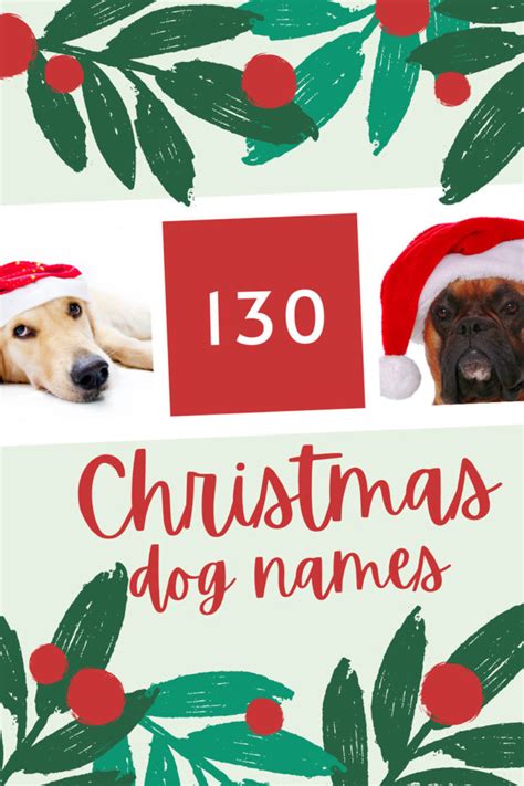 Christmas Dog Names | Dog names, Boy dog names unique, Girl dog names