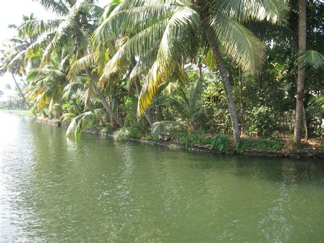 File:Kerala Backwaters Kuttanad.JPG - Wikipedia