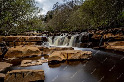 Premium Photo | A waterfall in the woods