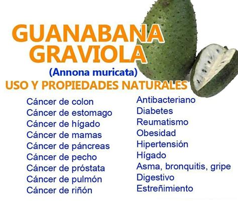 Guanabana o graviola | Fruit health benefits, Health matters, Health