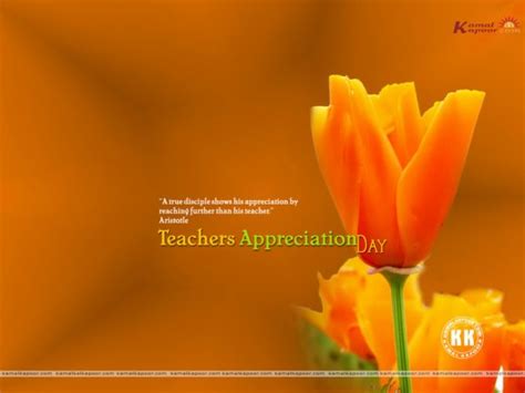 Teacher Appreciation - 800x600 Wallpaper - teahub.io