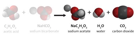 Sodium Bicarbonate And Acetic Acid