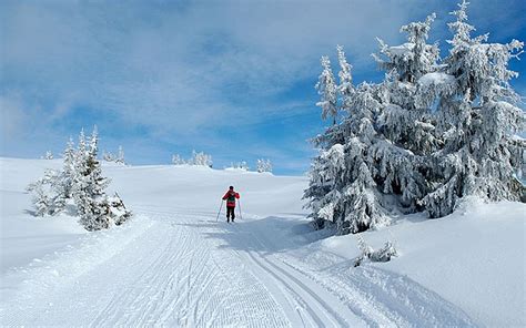 Cross-country skiing in Norway - Telegraph