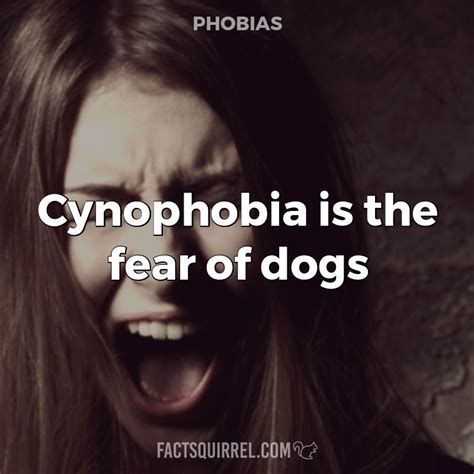 Cynophobia is the fear of dogs - Fact Squirrel