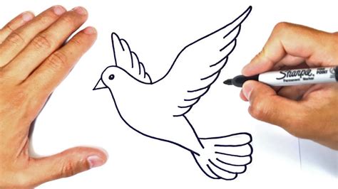 How to draw a Dove Step by Step | Dove Drawing Lesson