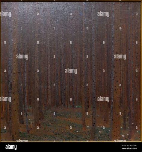 Pine Forest I by Gustav Klimt, 1901, oil on canvas Stock Photo - Alamy