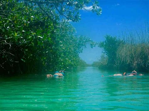 The best snorkeling in Tulum: where to go and what to expect