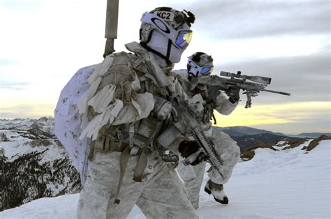 Snow Camo and Arctic Warfare. PIC THREAD - AR15.COM