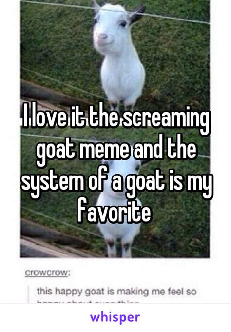 Screaming Goat Meme