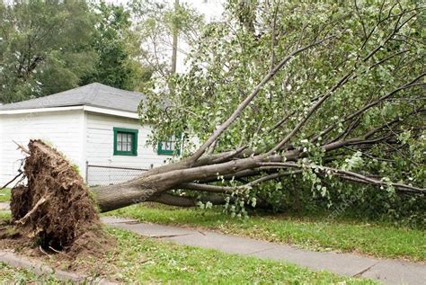 Wind Storm Damage Stock Photo by ©Lawcain 67353789