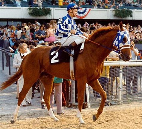 Remembering Secretariat, the best ever - al.com