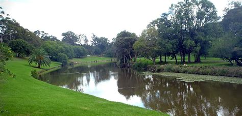 Parramatta River | The Dictionary of Sydney