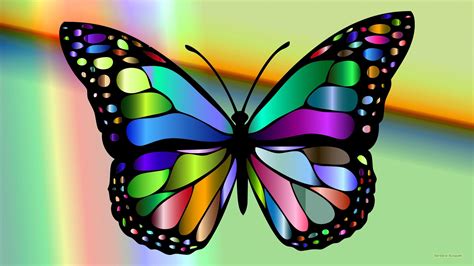 Colorful Butterfly Wallpapers - Top Free Colorful Butterfly Backgrounds ...