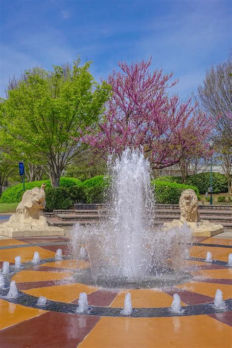 Fountain in Coolidge Park Photograph by Tom and Pat Cory - Fine Art America