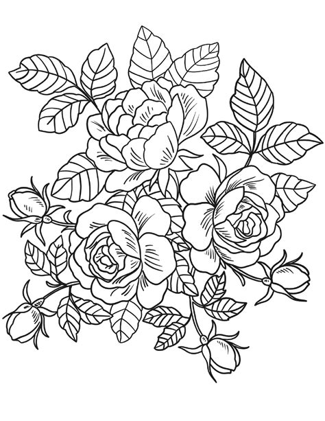 Floral Coloring Pages for Adults - Best Coloring Pages For Kids