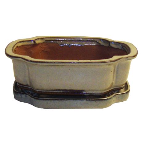 8" Ivory Sculpted Oval Ceramic Bonsai Pot